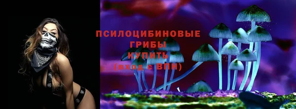 2c-b Алзамай