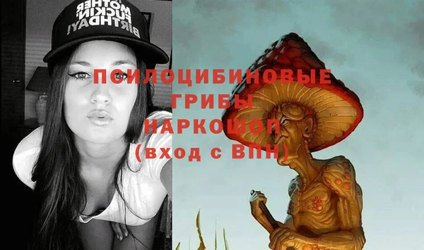 2c-b Алзамай