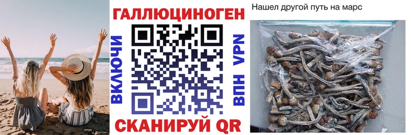 наркотики Люберцы Псилоцибиновые грибы Magic Shrooms